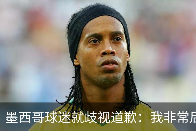 墨西哥球迷就歧视道歉：我非常后悔，已辞去工程师协会职务