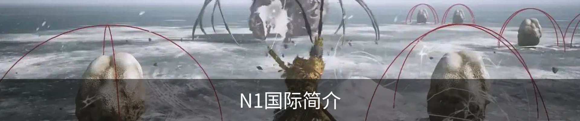 N1国际简介